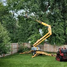 Best Tree Health Inspection  in Halfway House, PA